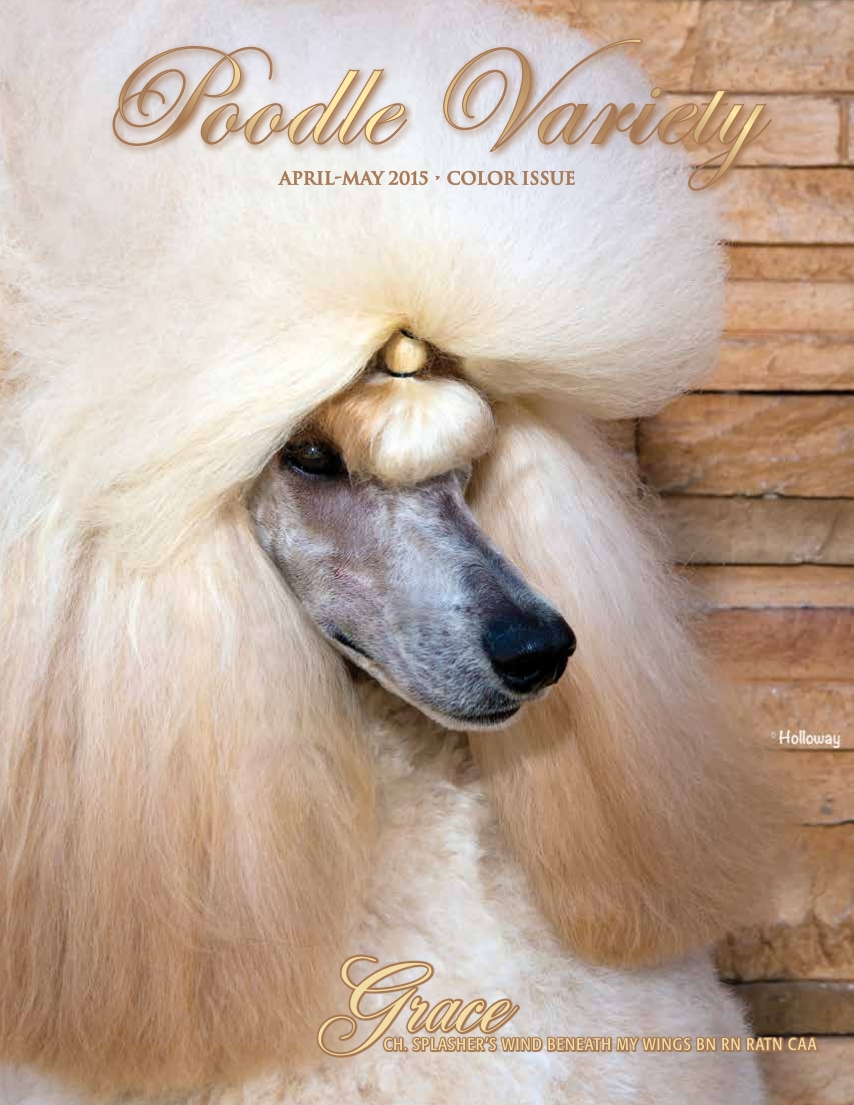 Poodle Variety April-May 2015