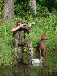 Hunting picture of one of our standard Poodles