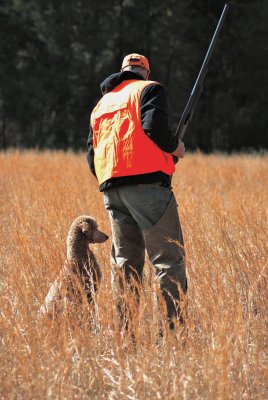 Cooper, alert and waiting...........