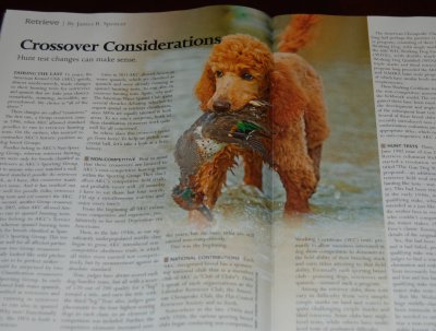 An article in the December 2011 issue of Gun Dog Magazine featuring our dogs.