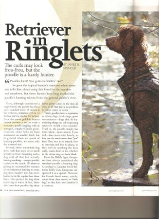 "Retriever in Ringlets" featured article in June/July 2011 Gun Dog Mag.