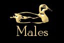 Visit our males page