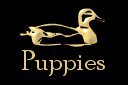 Visit our Puppies page