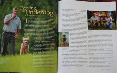 Featured in PURINA Today's Breeder Issue #79  "Proving the Underdog"
